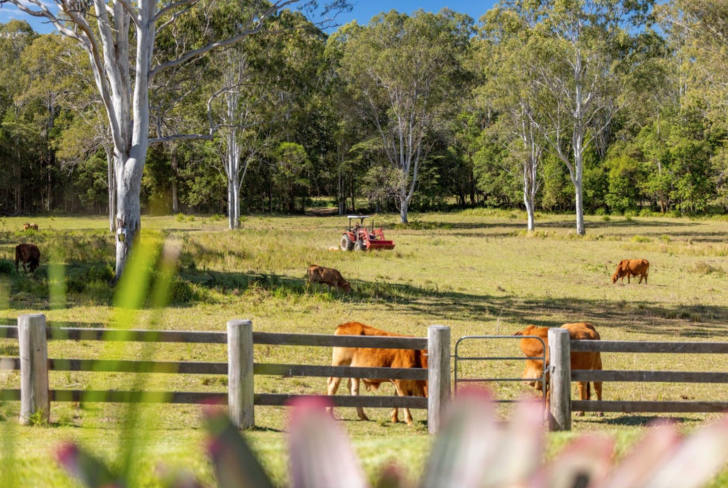 The Farm – Noosa Hinterland